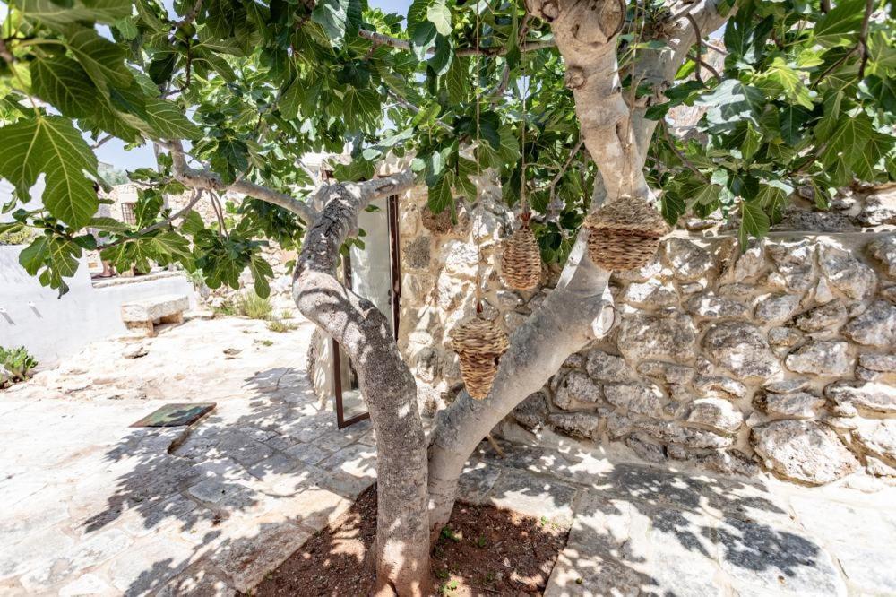 Trullo Santovia Panzió Sant Isidoro  Kültér fotó